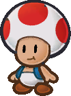 ToadIPM.png
